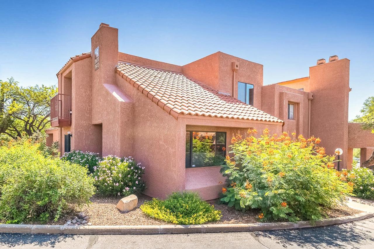 Ventana Oasis Tucson