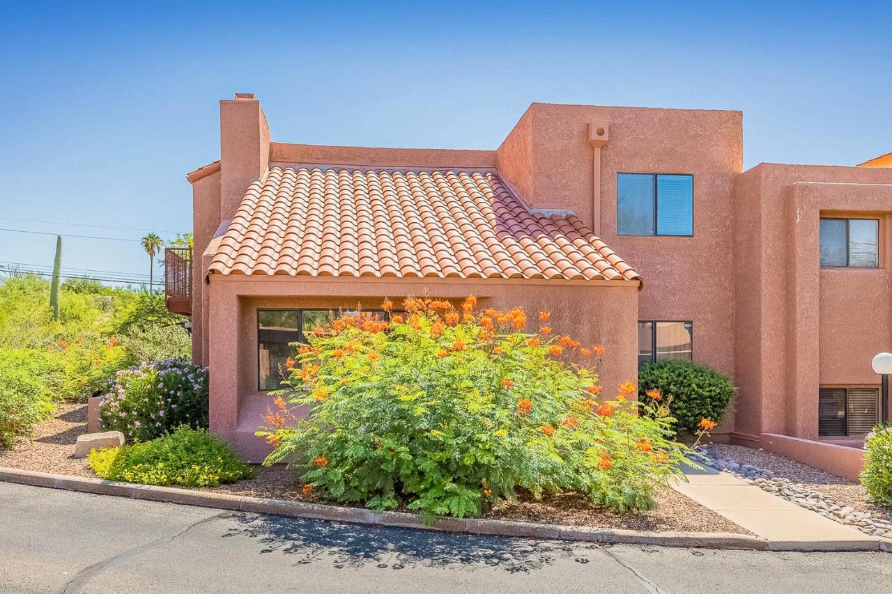 Ventana Oasis Apartment *
